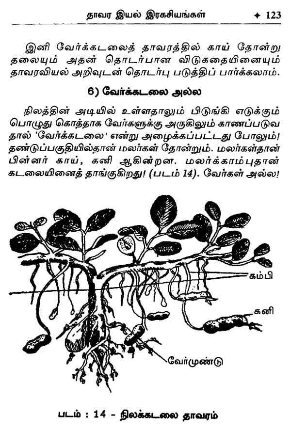 The Secrets Of Plants In Tamil An Old Book