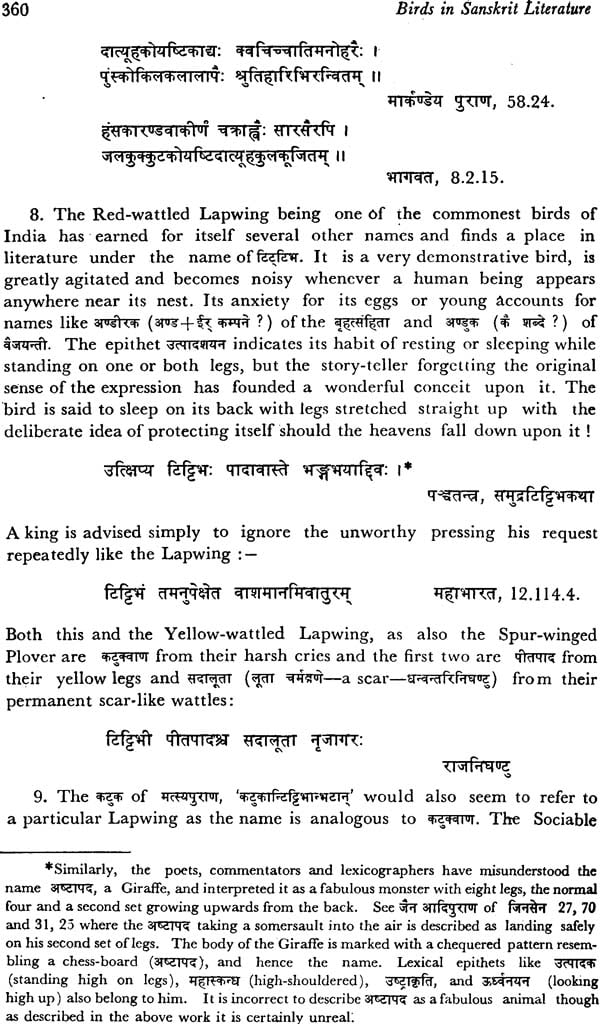 Essay on christmas in sanskrit