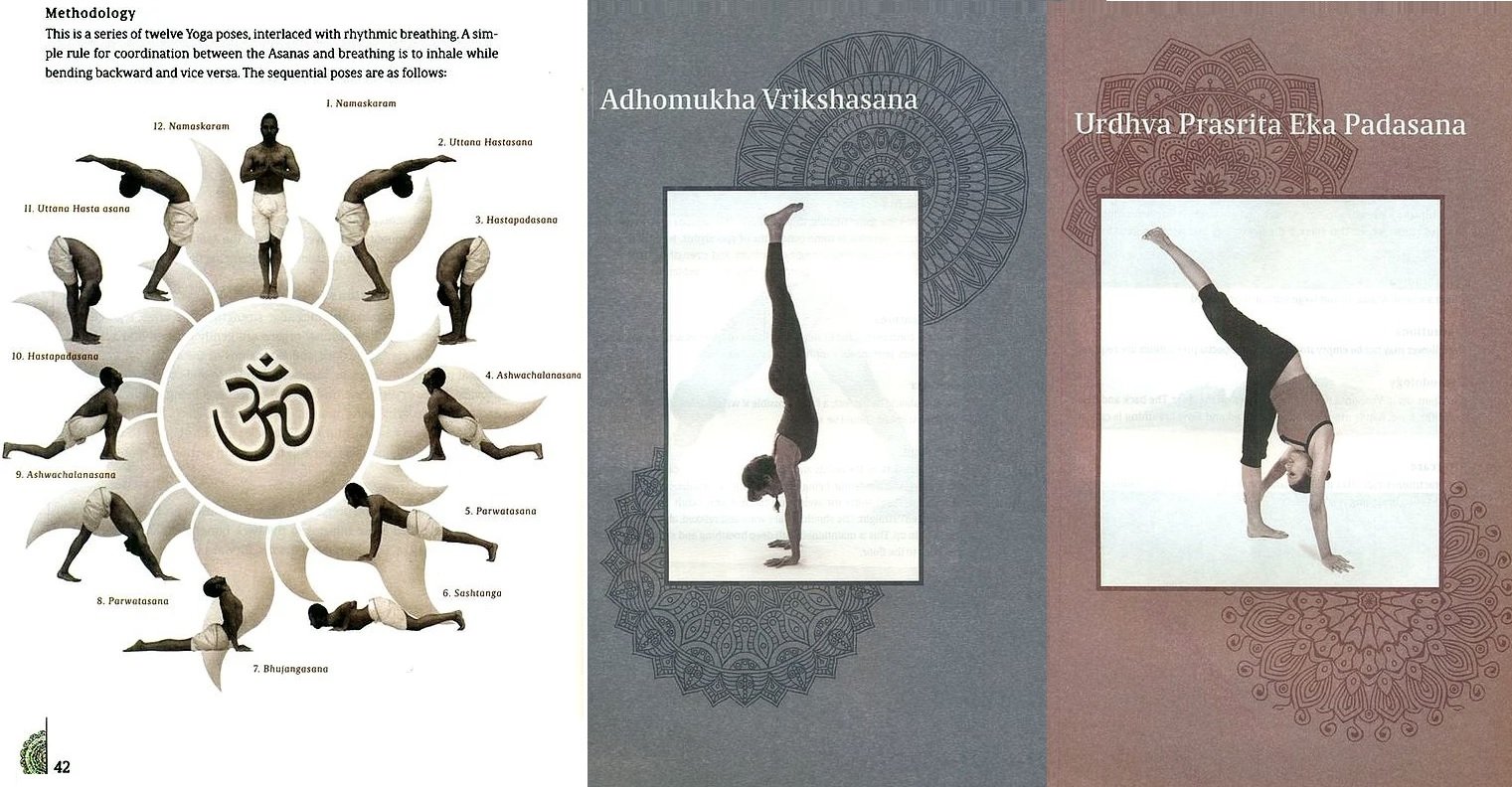 50 Different Yoga Asanas That Every Beginner Should Know | Types of yoga  asanas, Different types of yoga, Easy yoga poses