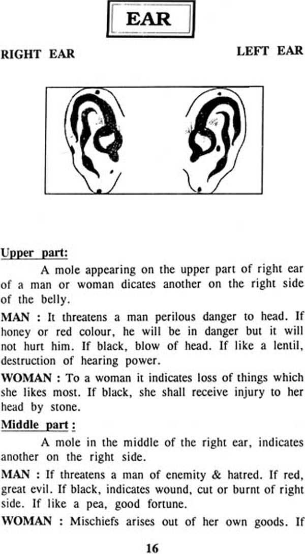 The Body Moles Influence And Effect the body moles influence and effect