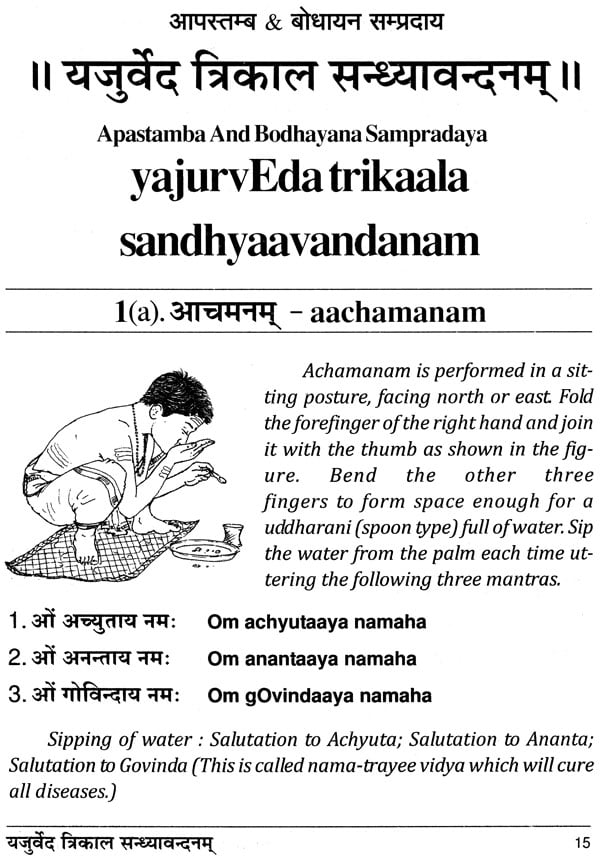 Yajur veda sandhyavandanam pdf