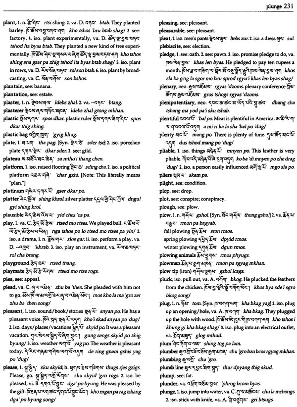 English - Tibetan Dictionary of Modern Tibetan