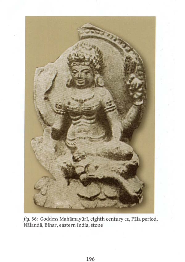 Brahmanism And Buddhism Indian Civilization