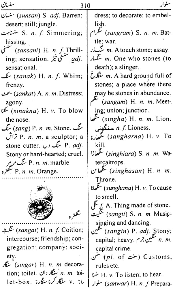 dictionary-urdu-to-english