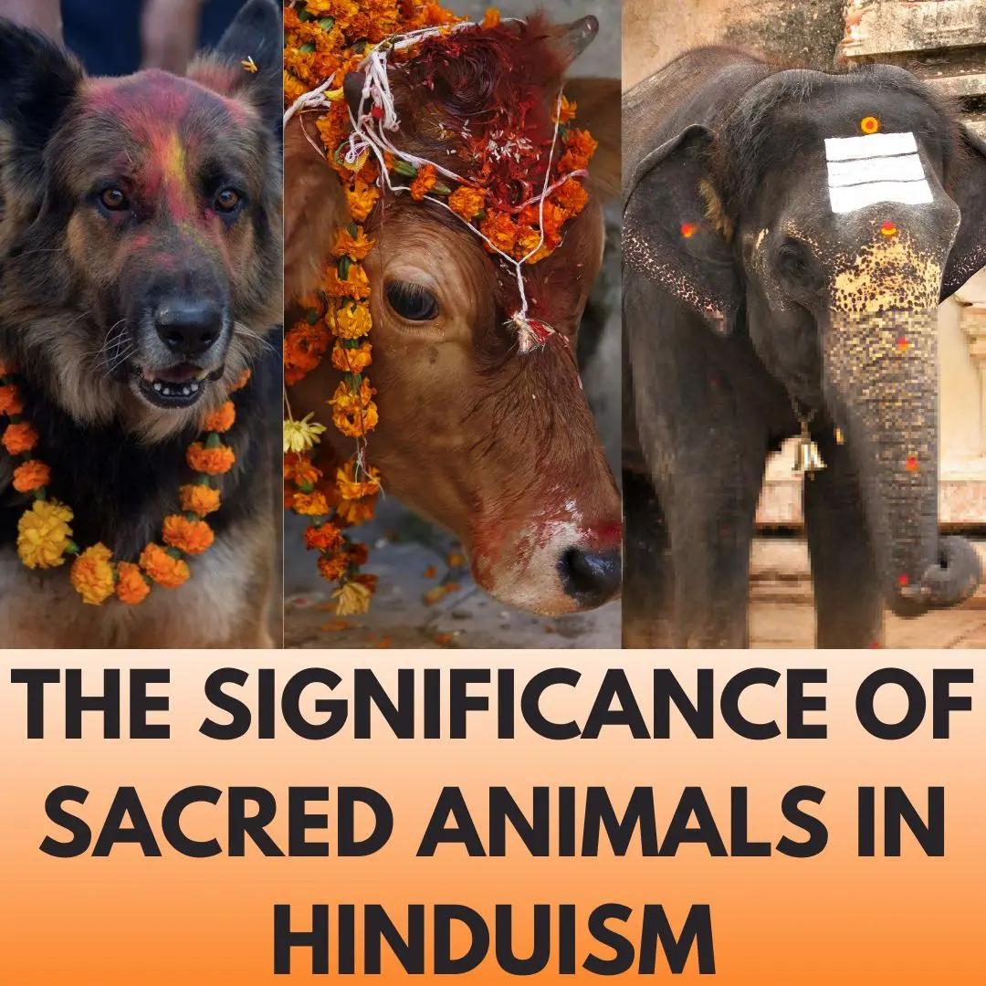 The Significance of Sacred Animals in Hinduism
