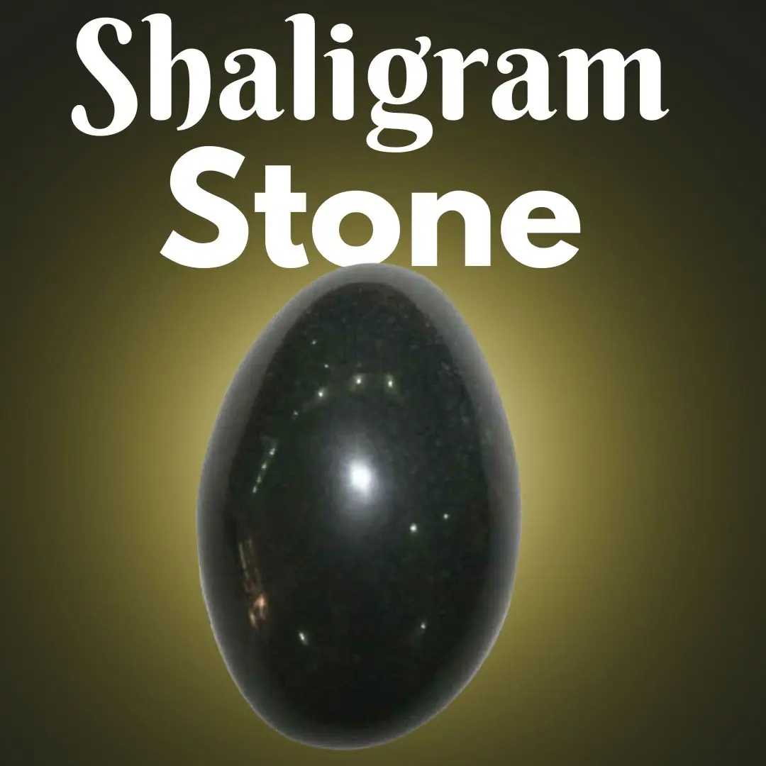Shaligram Stones: The Most Unique Form of Lord Vishnu
