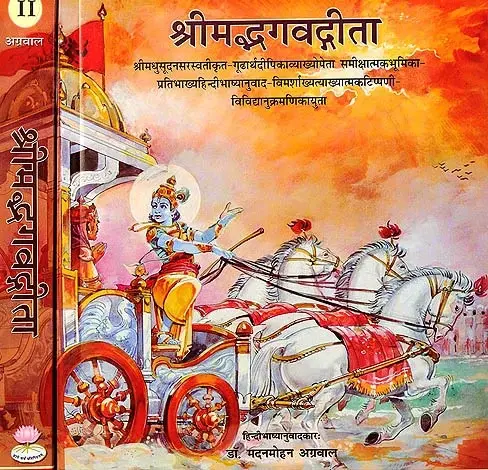 The Bhagavad Gita: A Spiritual Guidebook Within a Religious Framework