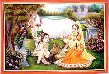 Fresh Milk for Krishna