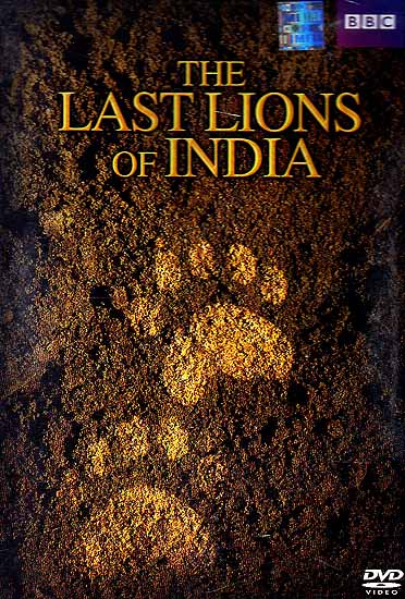 The Last Lions of India (DVD) | Exotic India Art