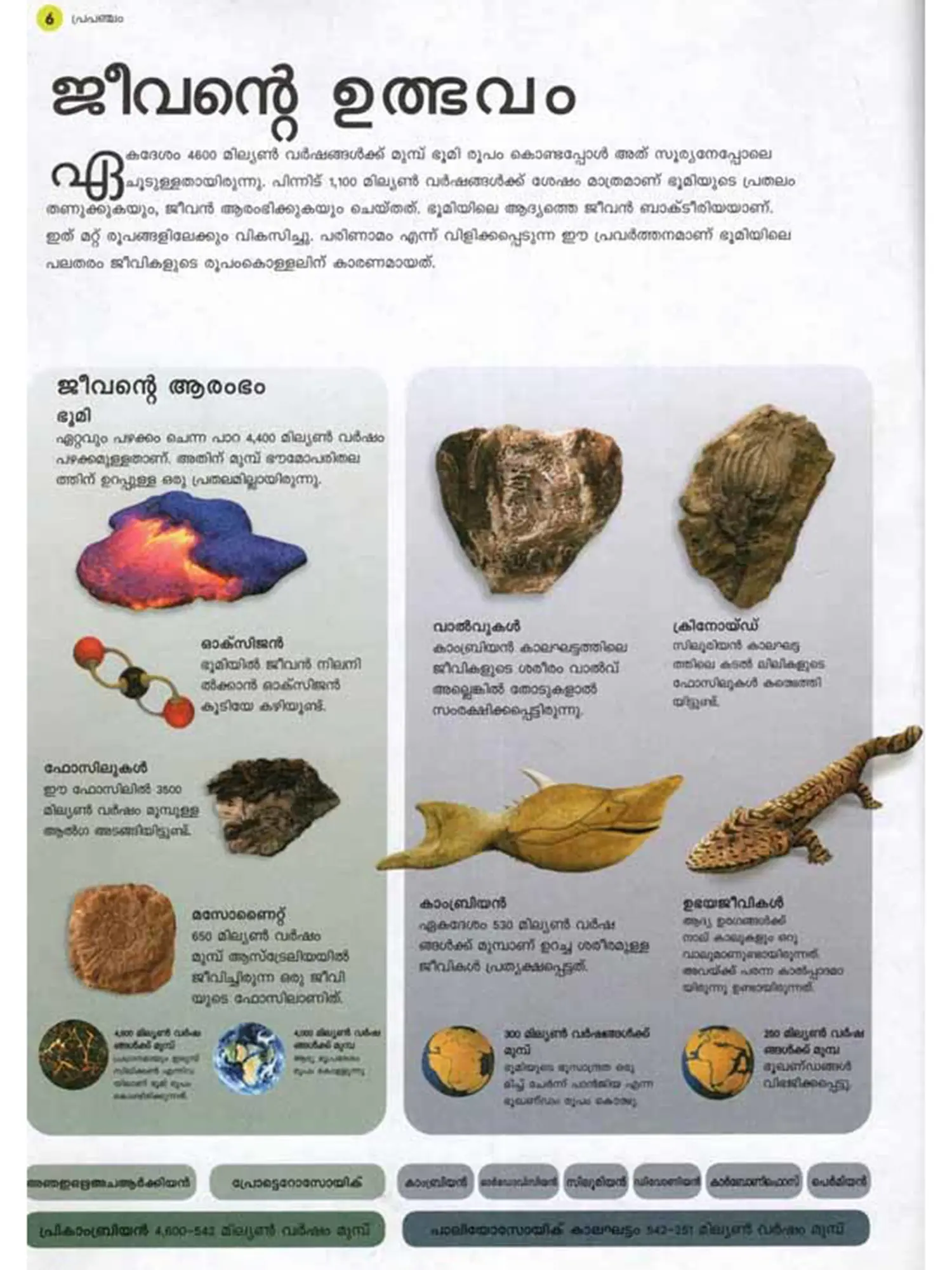 പ്രപഞ്ചം: Natural World (100+ Facts You Always Wanted to Know About Nature) Malayalam view 4
