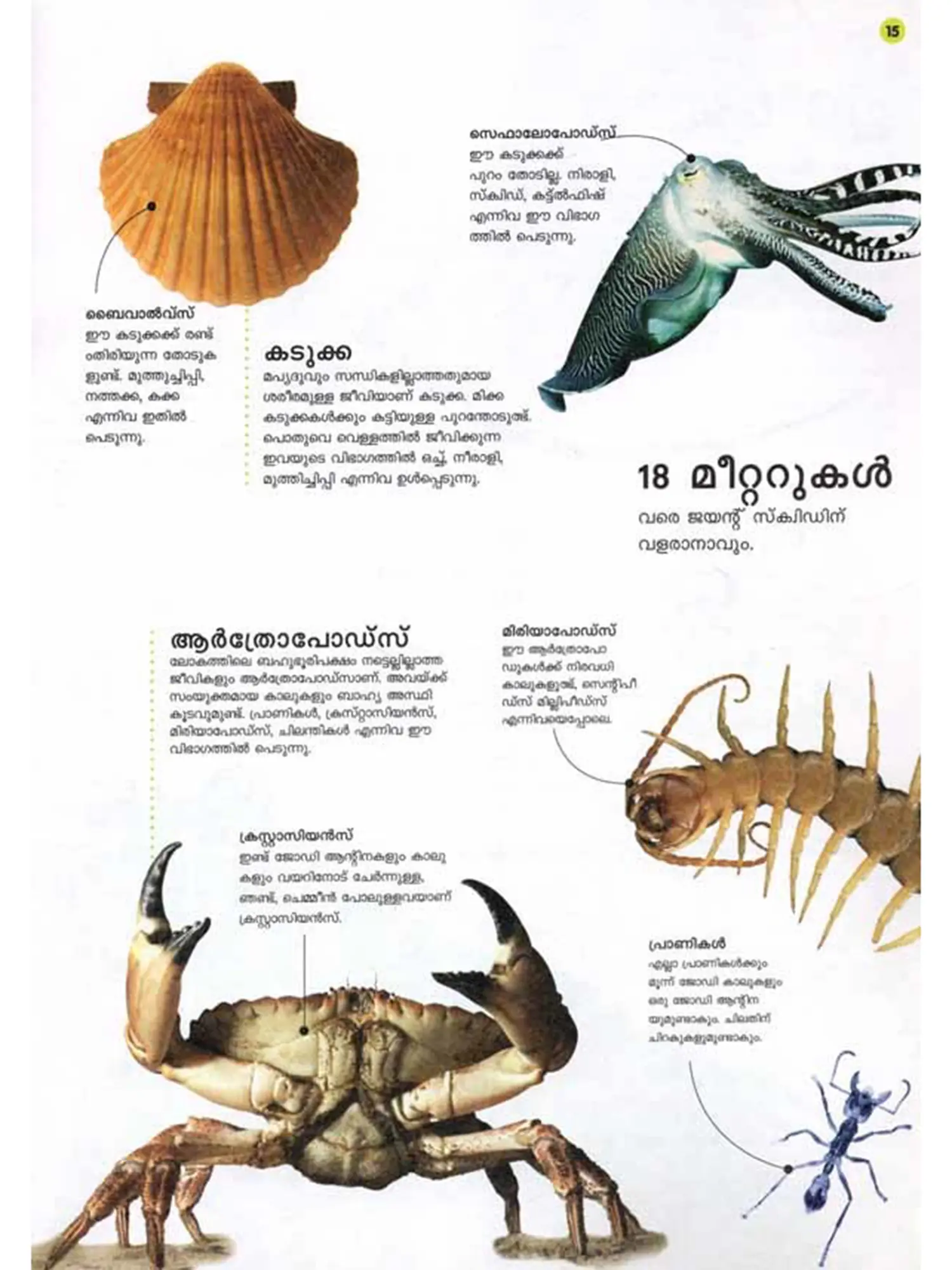 പ്രപഞ്ചം: Natural World (100+ Facts You Always Wanted to Know About Nature) Malayalam view 5