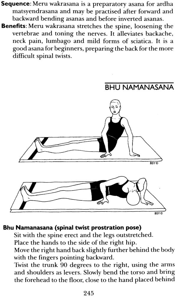 Asana Pranayama Mudra Bandha (One of the Most Systematic Yoga Manuals ...