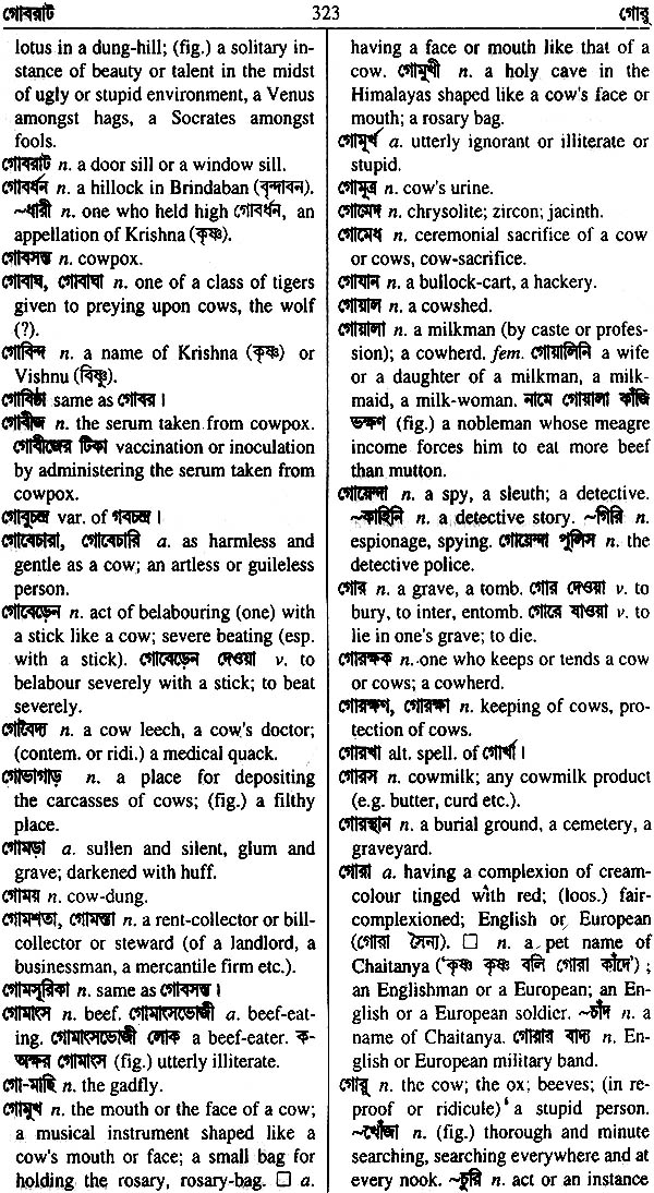 samsad-bengali-english-dictionary