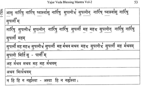 Yajur Veda Ghanam