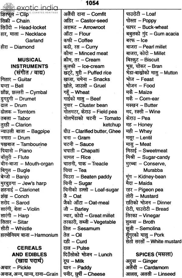 Comprehensive Dictionary Englsh-English Nepali | Exotic India Art