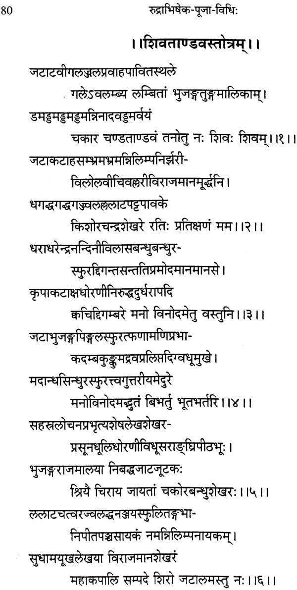 रुद्राभिषेक पूजा विधि: Rudrabhiseka Puja Vidhih (Sanskrit Text with ...