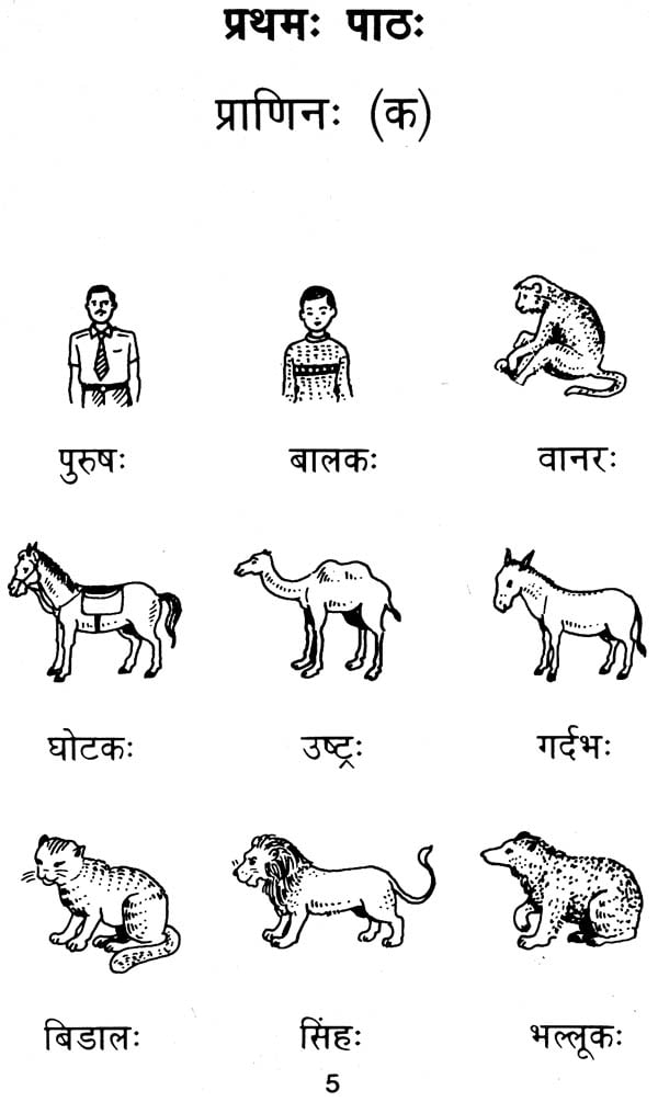 संस्कृत सुधा: Sanskrit Sudha in 2 Volumes (Learn Sanskrit) | Exotic India  Art