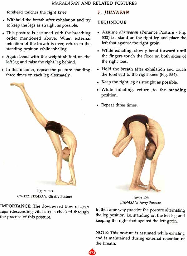 15 Hatha Yoga Poses - YOGA PRACTICE