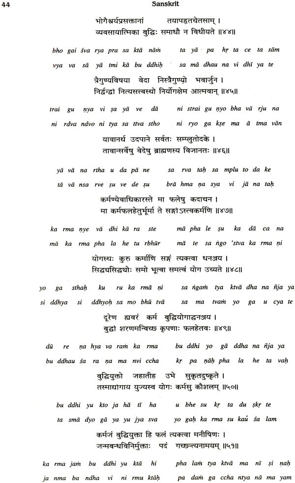 bhagavad gita pdf sanskrit free download