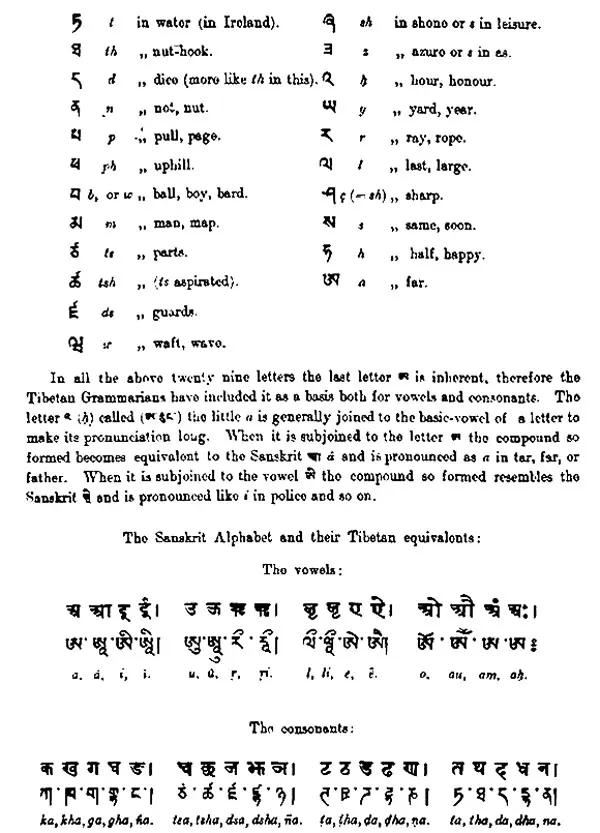 Tibetan-English Dictionary | Exotic India Art