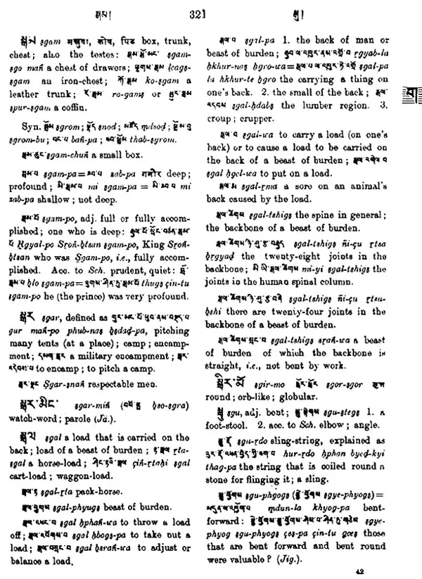 Tibetan-English Dictionary | Exotic India Art