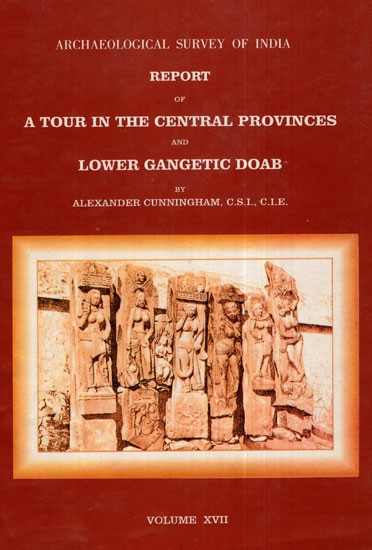 ASI Report of A Tour in the Central Provinces and Lower Gangetic Doab ...