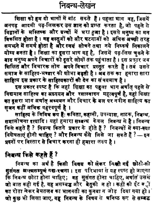 two essay in hindi