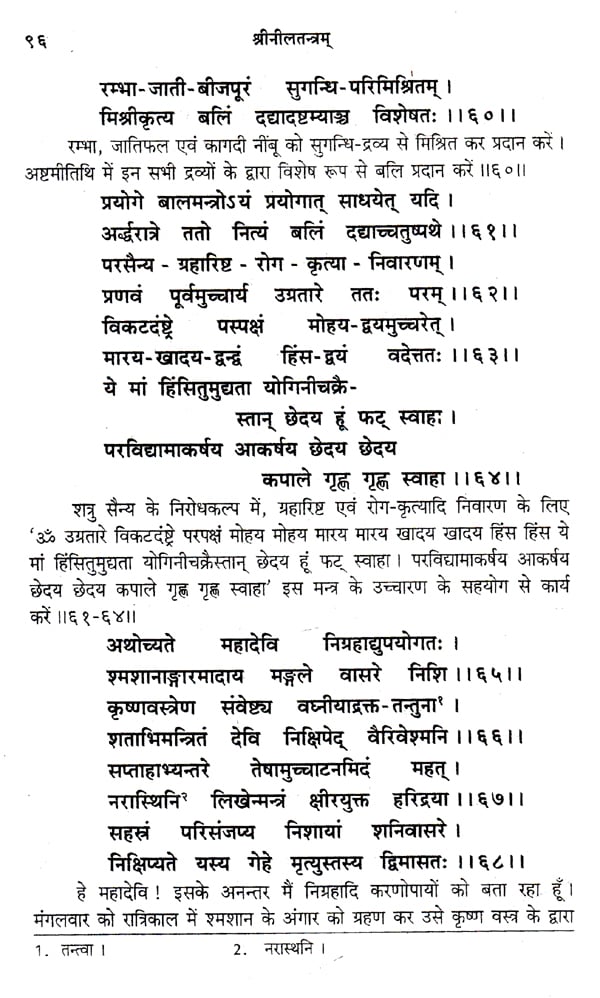 श्रीनीलतन्त्रम्- Shri Neel Tantram (An Old and Rare Book) | Exotic ...