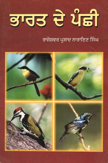 Birds of India (Punjabi) | Exotic India Art Birds of India (Punjabi) | Exotic India Art