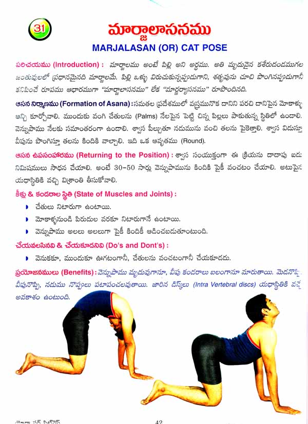 గోముఖాసనం | Muppena Venkateswarlu Yoga Classes For Beginners | Gomukhasanam  Health Benefits - YouTube