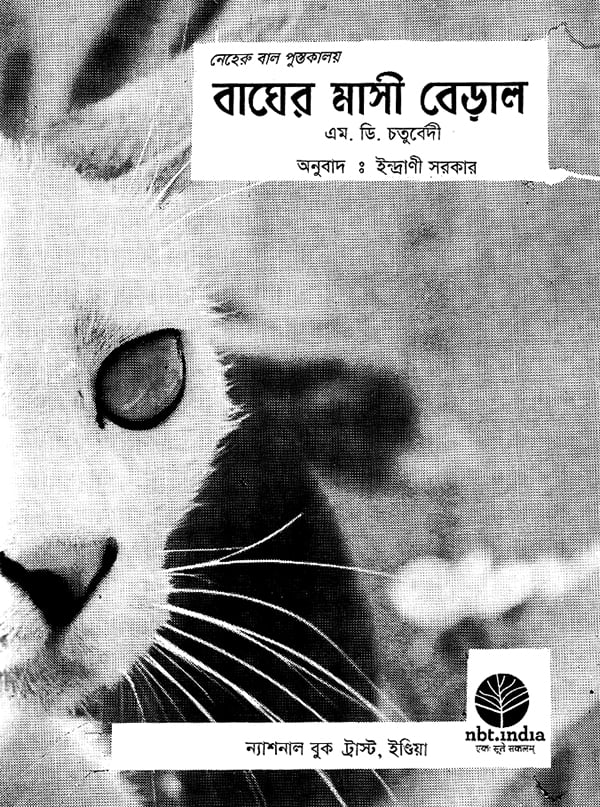 The Cat Family (Bengali) | Exotic India Art