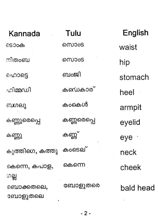 Common Man S Multilingual Dictionary Malayalam Telugu Tamil Kannada Tulu English
