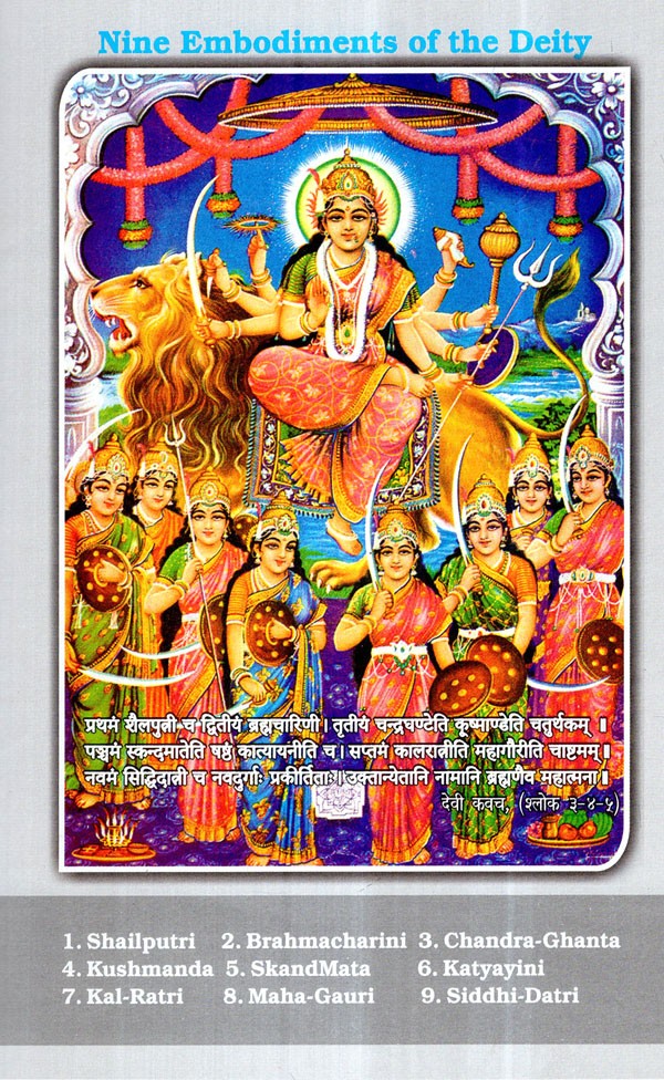 durga saptashati book in english