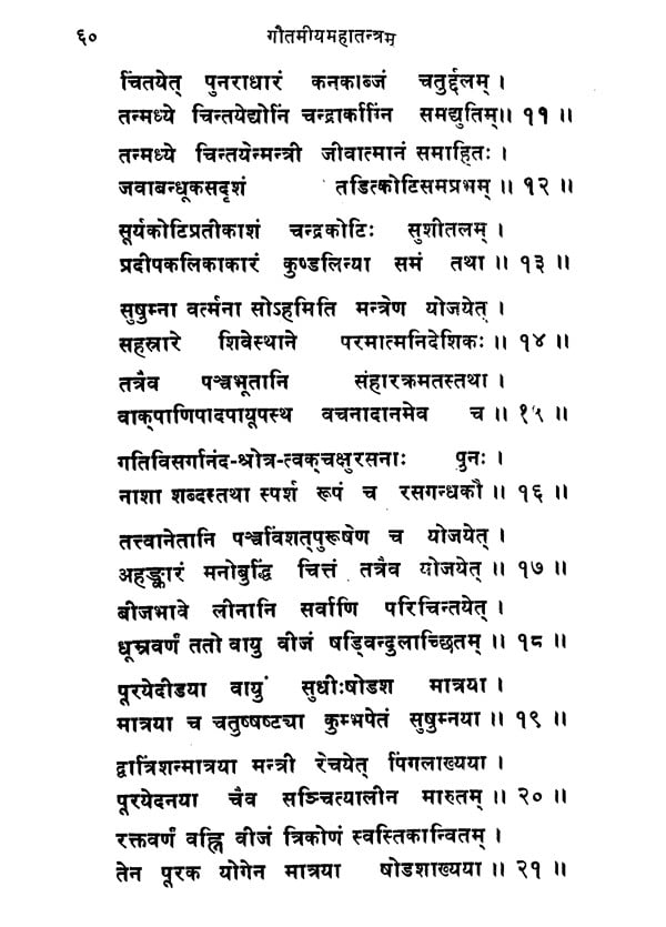 गौतमीयमहातन्त्रम्- Gautamiya Maha Tantra of Maharsi Gautama (An Old ...