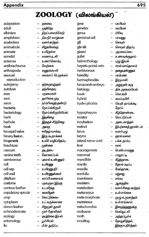English - English and Tamil Dictionary | Exotic India Art