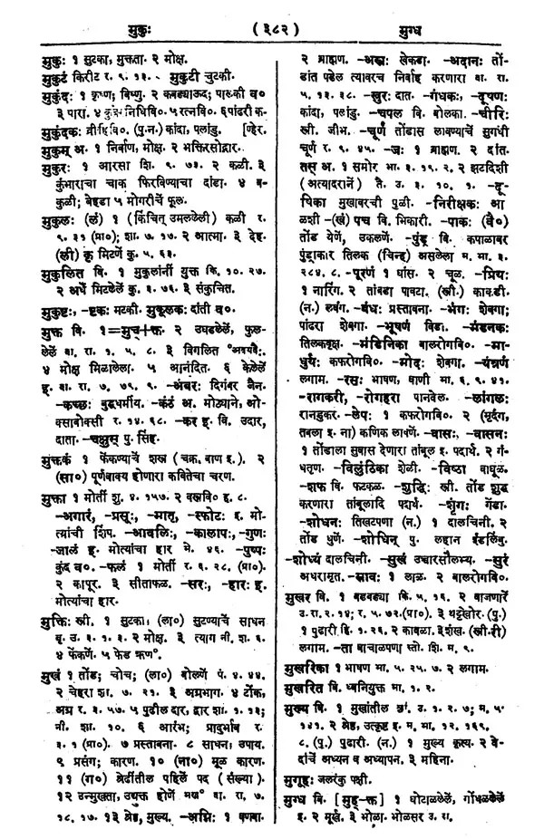 संस्कृत मराठी शब्दकोश Sanskrit Marathi Dictionary Exotic India Art