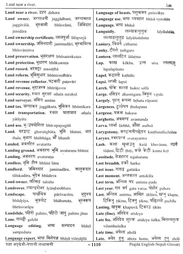 English to Nepali Dictionary - Meaning of Stream in Nepali is : सानो नदी,  प्रवाह, खोलो, धारा