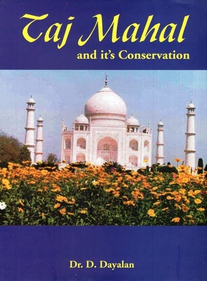 Souvenir Taj Mahal Miniature Showpiece for Gift Home Decor | eBay