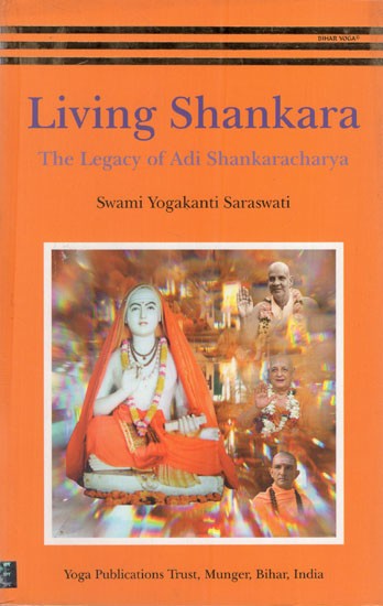 Living Shankara: The Legacy Of Adi Shankaracharya | Exotic India Art