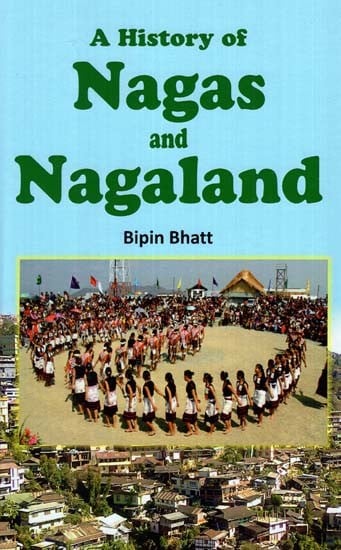 history of nagaland essay