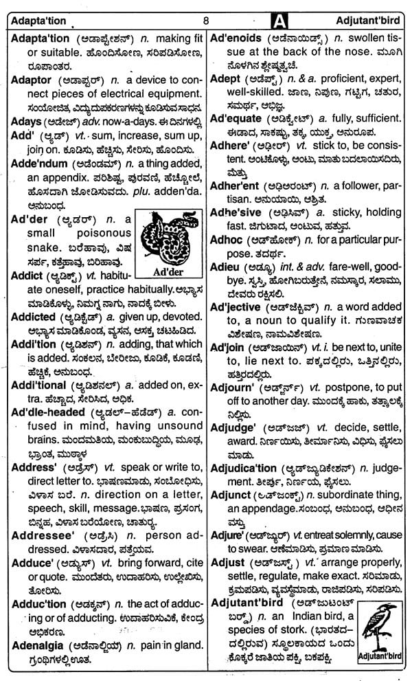 New Modern Abridged Dictionary Illustrated English English