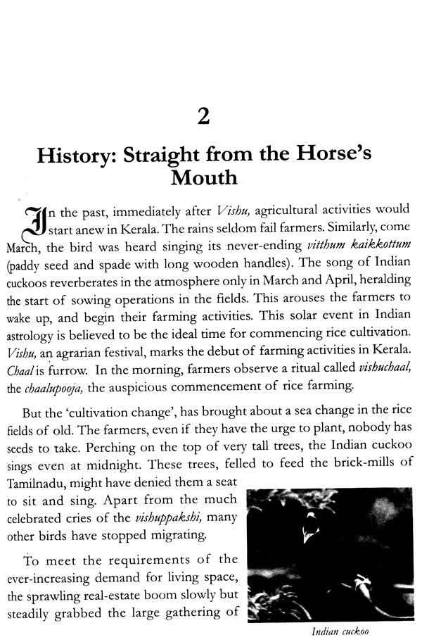 History Straight From The Horse's Mouth Exotic India Art