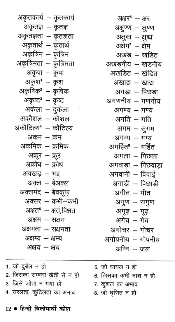 Hindi Antonym Dictionary Exotic India Art