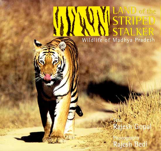 Land of The Striped Stalker (Wildlife of Madhya Pradesh) | Exotic India Art