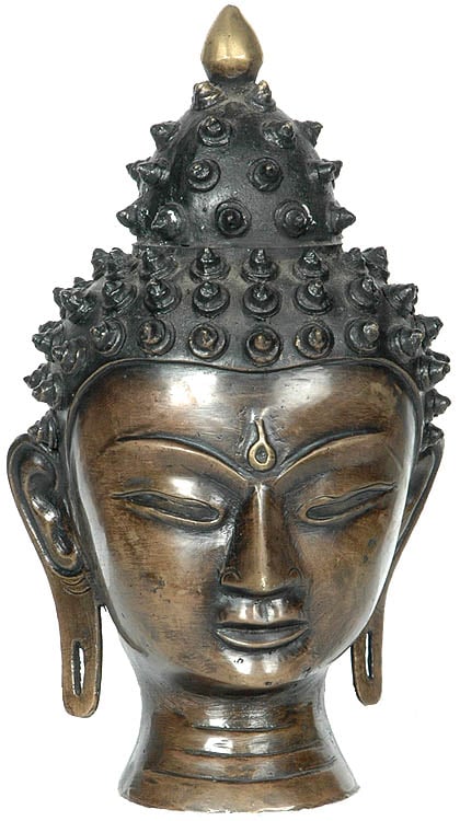 Buddha Head with Crawling Snails for Hair | Exotic India Art