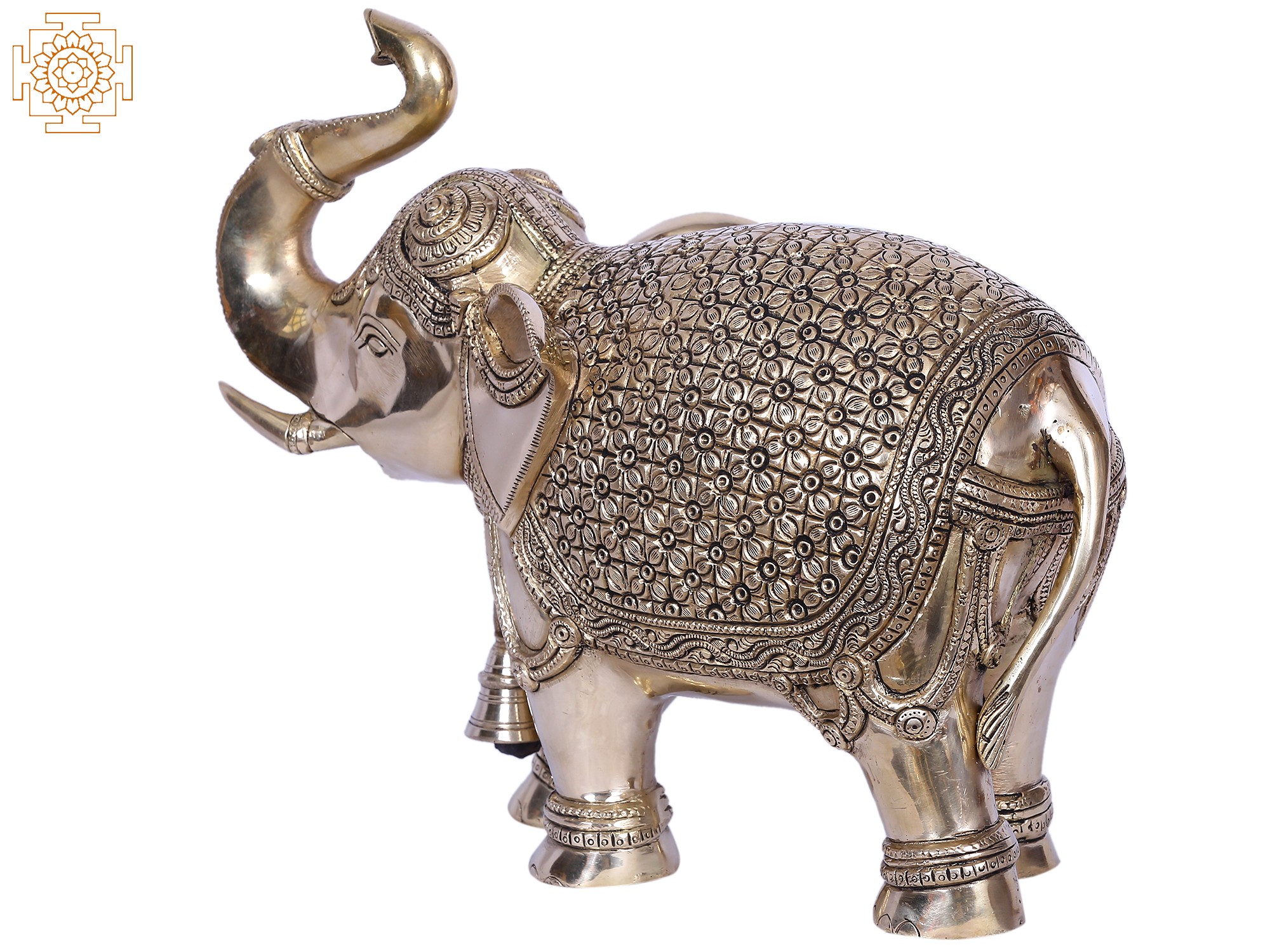 その他 PRE-ASSEMBLEDCOLLECTION BRAHMAN ELEPHAN PRE-ASSEMBLEDCOLLECTION BRAHMAN ELEPHAN