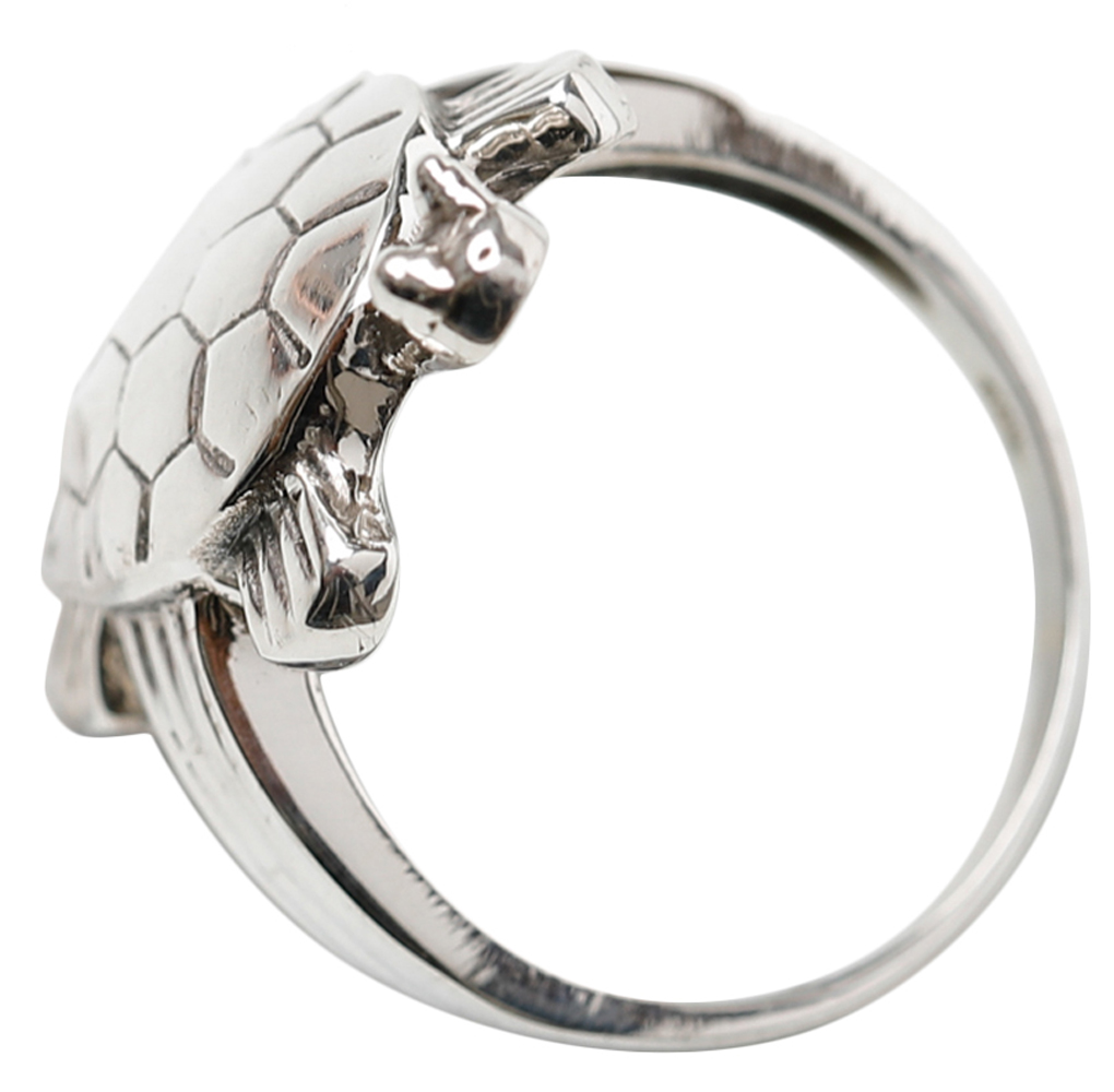 Tortoise Ring : ఈ ఉంగరం ధరిస్తే.. మీకు బాగా కలిసి రావడం ఖాయం.. - These  Zodiac Signs Get Benefits By Wearing Tortoise Ring