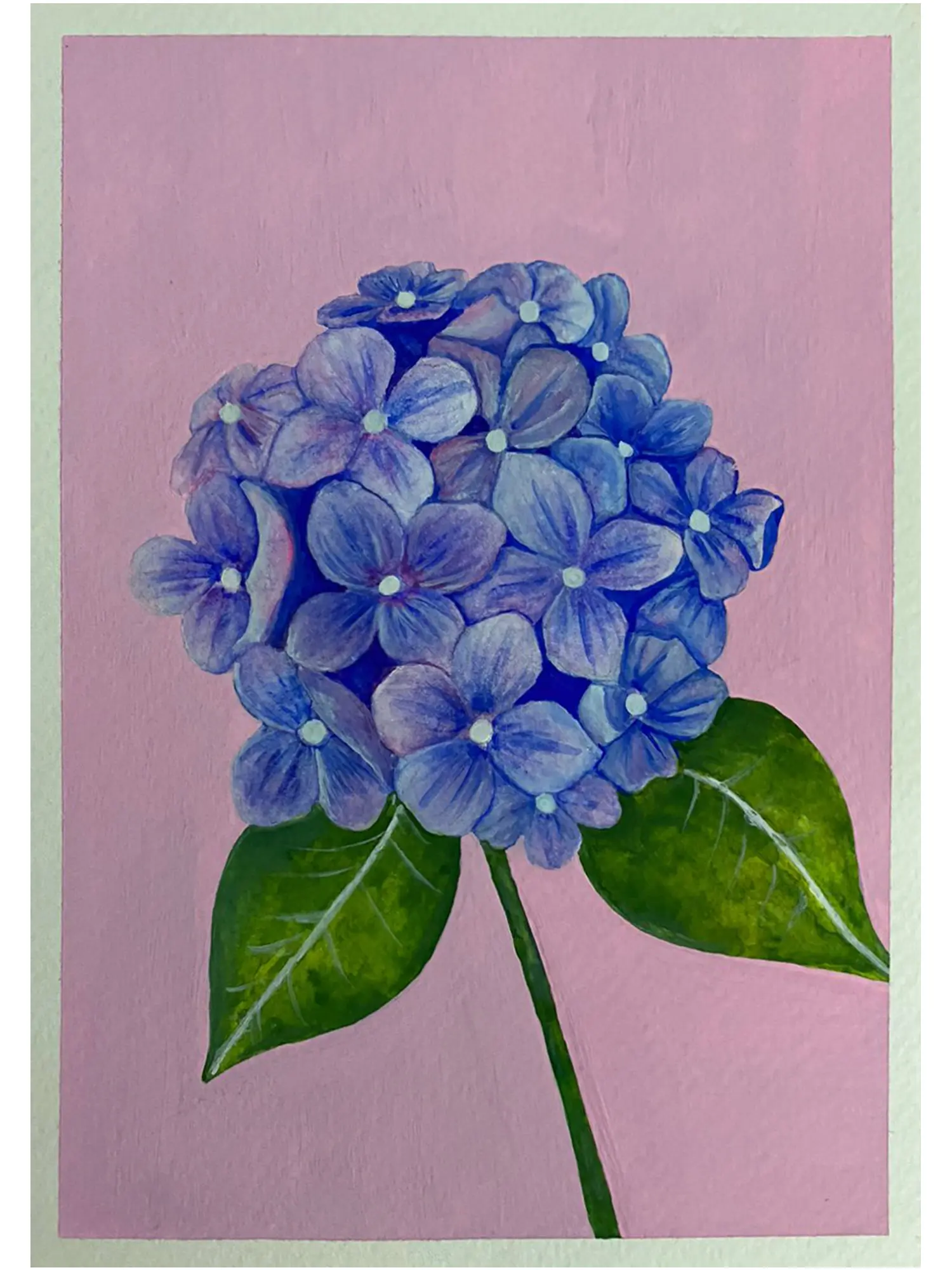 油絵 絵画 【Hydrangea】 Hydrangea Flower | Painting by Rashi Agrawal | Exotic India Art