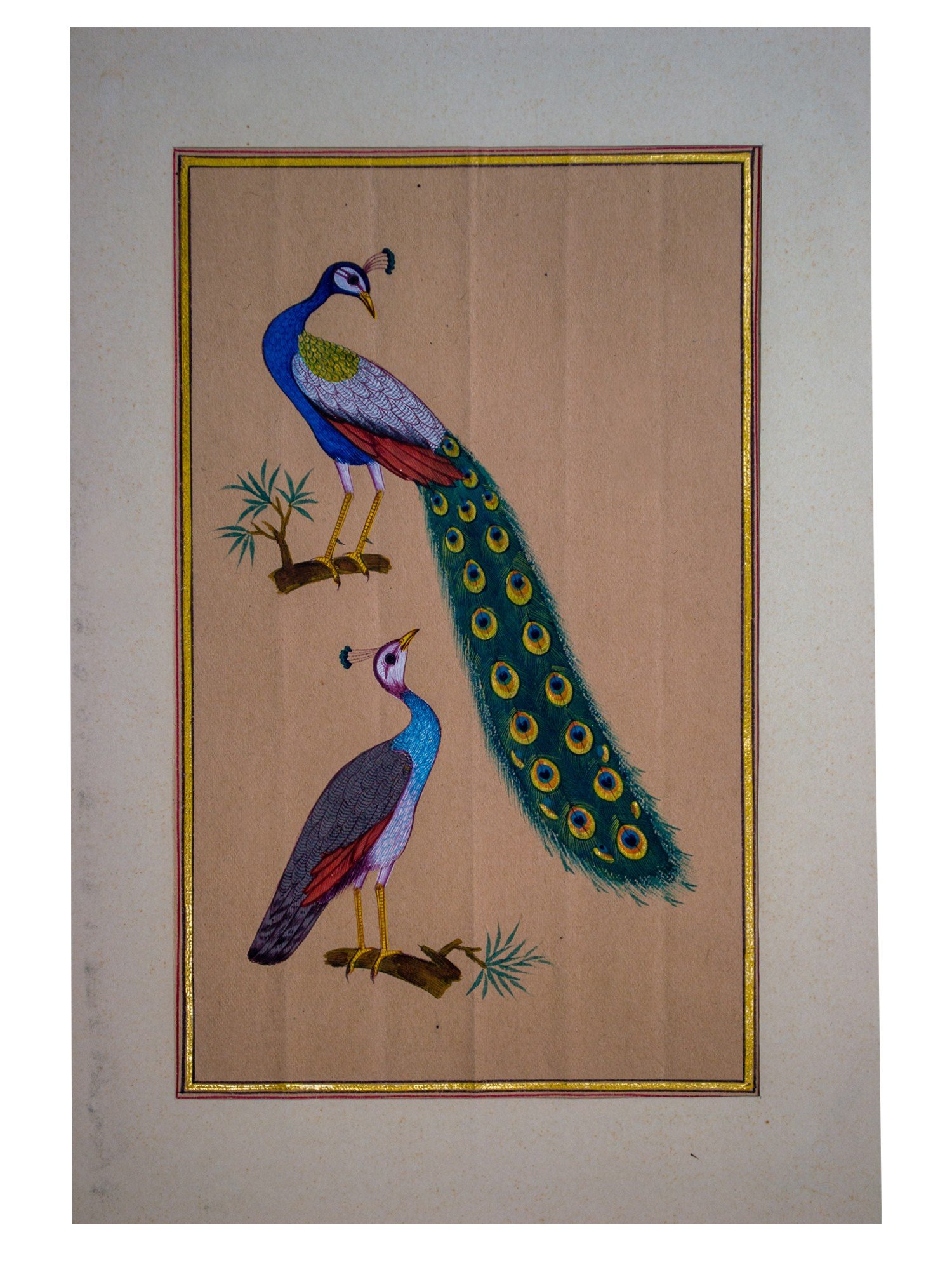 Attractive Peacocks On Branch | Natural Color On Vintage Paper | By ...