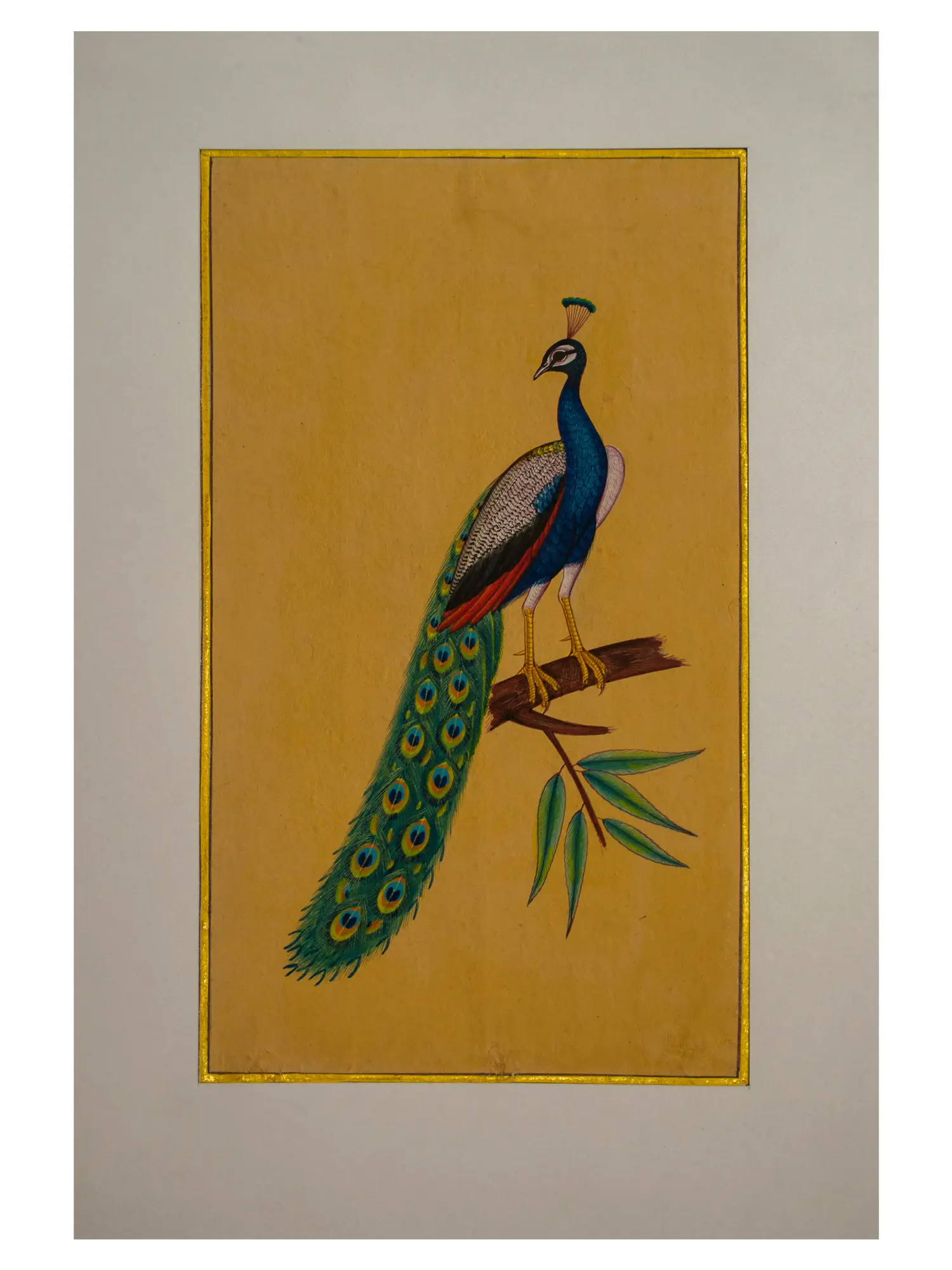 Beautiful Peacock Painting | Natural Color on Vintage Paper | By 
